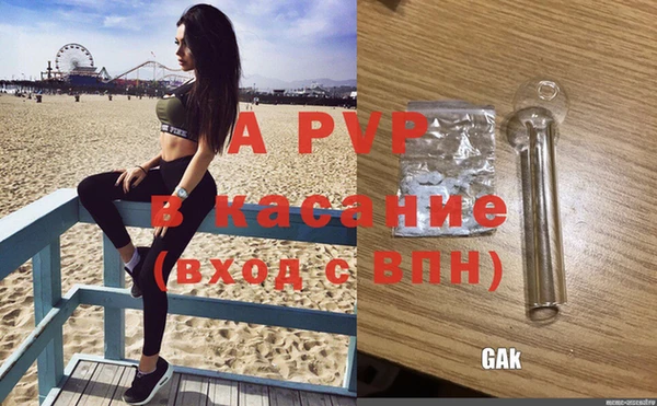 стаф Верхний Тагил